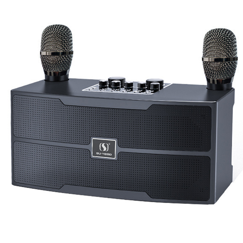 Audio X Music - 120W 고출력 무선 휴대용 마이크 블루투스